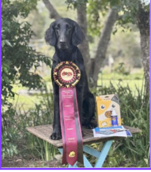 2025 TRACK AND SEARCH GRAND CHAMPION