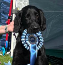 2025 AUSTRALIAN CHAMPION