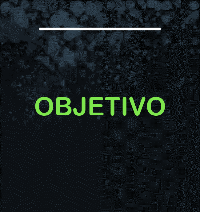 OBJETIVO