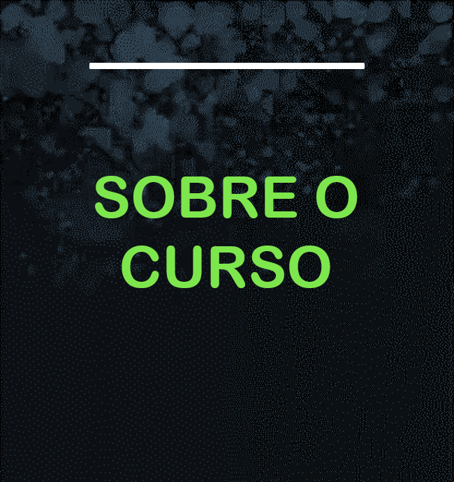 SOBRE O CURSO