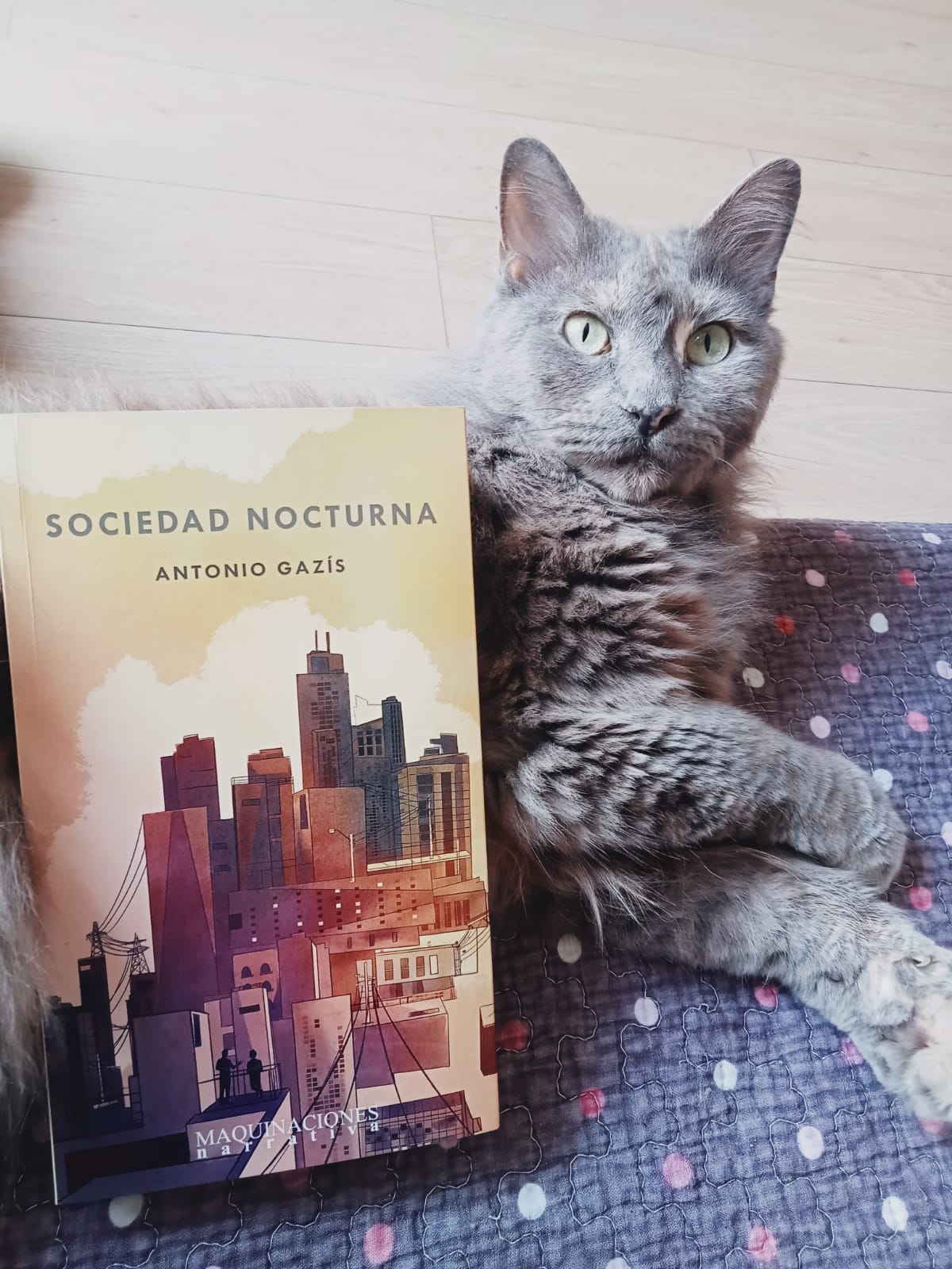 Una sociedad nocturna