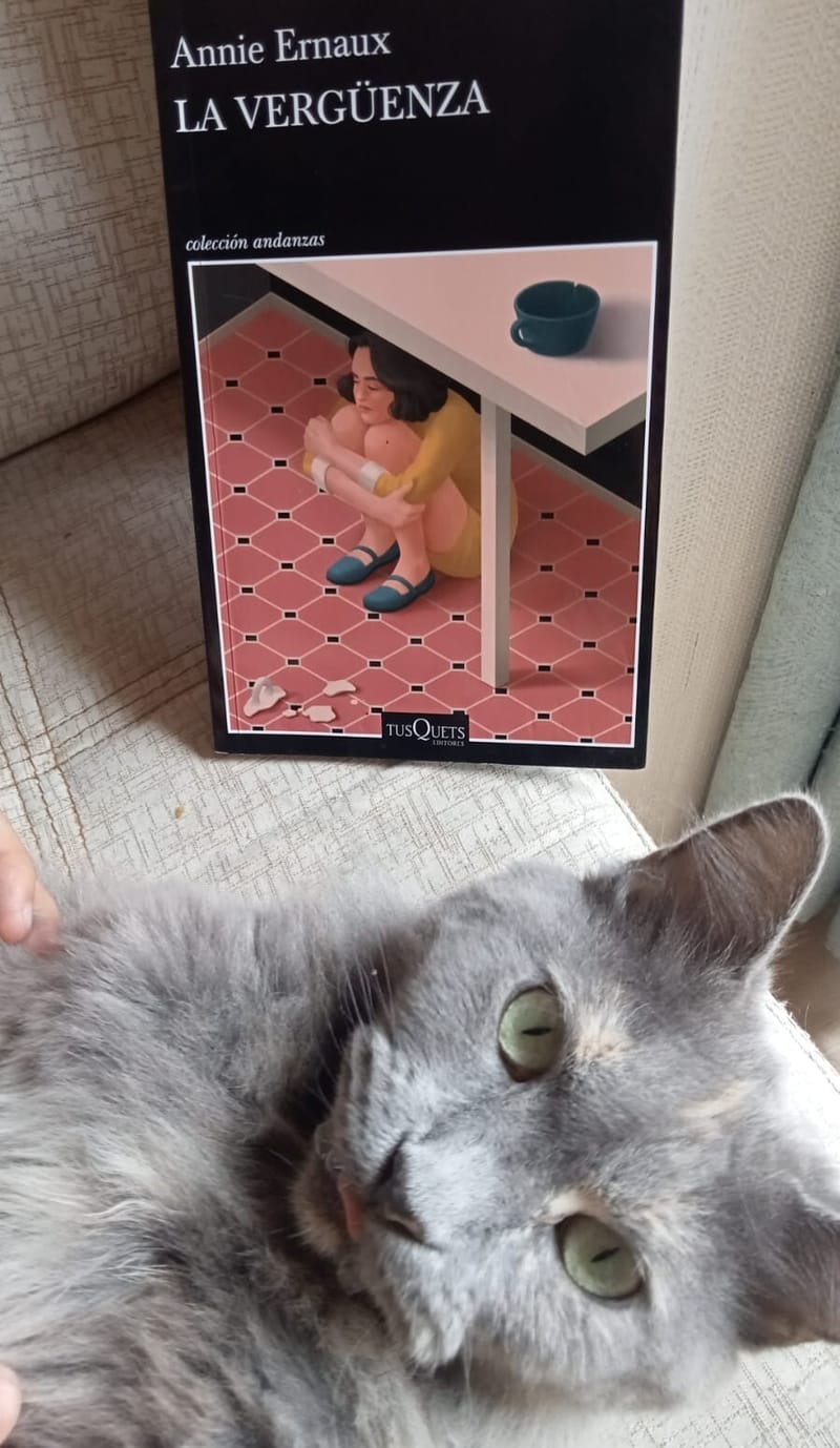 Sobre La vergüenza de Annie Ernaux