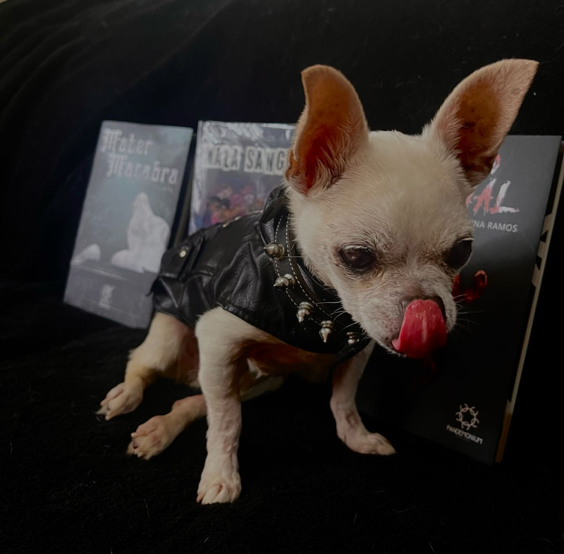 Mala entraña, mala sangre: una venganza literaria