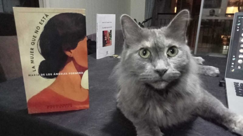 La mujer que no está: una novela policial fantástica