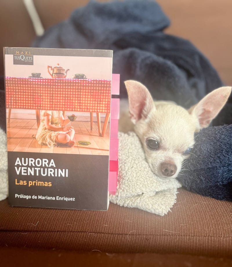 Una familia monstruosa