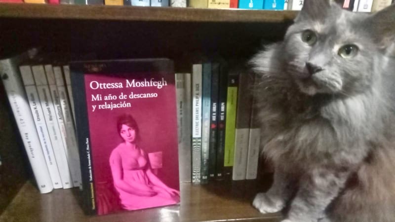 Un descansado y relajado comentario