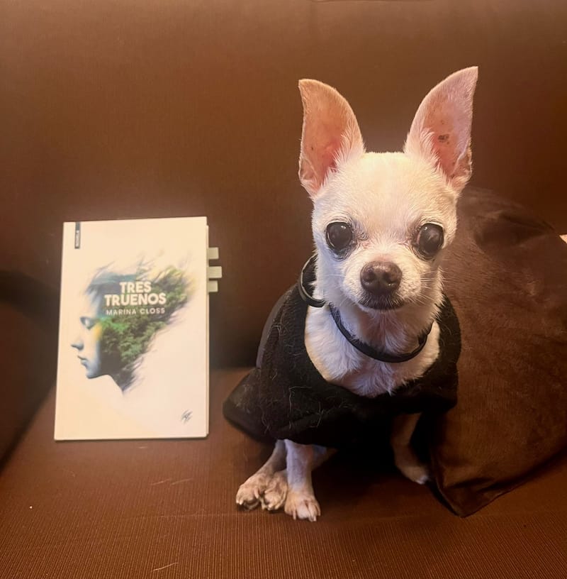 Estruendos femeninos