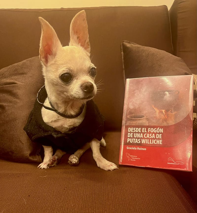 Desde un fogón de una casa de putas williche