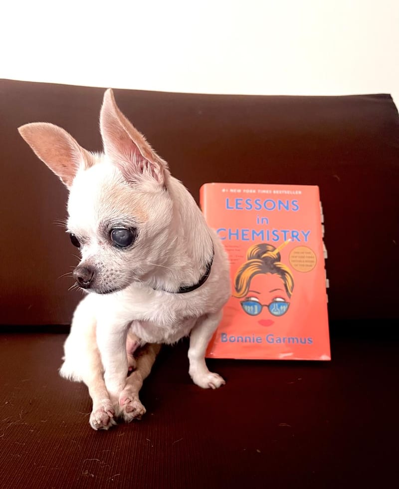 Me dicen caricaturesca e inverosímil