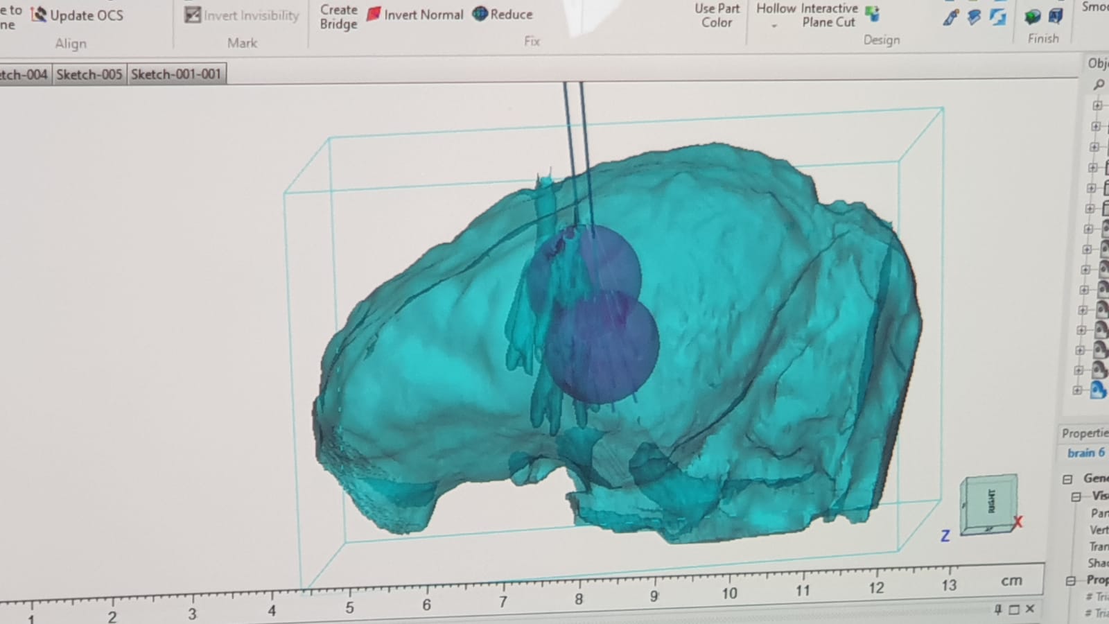 Dr. Wohl brings extensive expertise in preclinical drug development, having established and optimized a range of animal models for malignant glioma studies