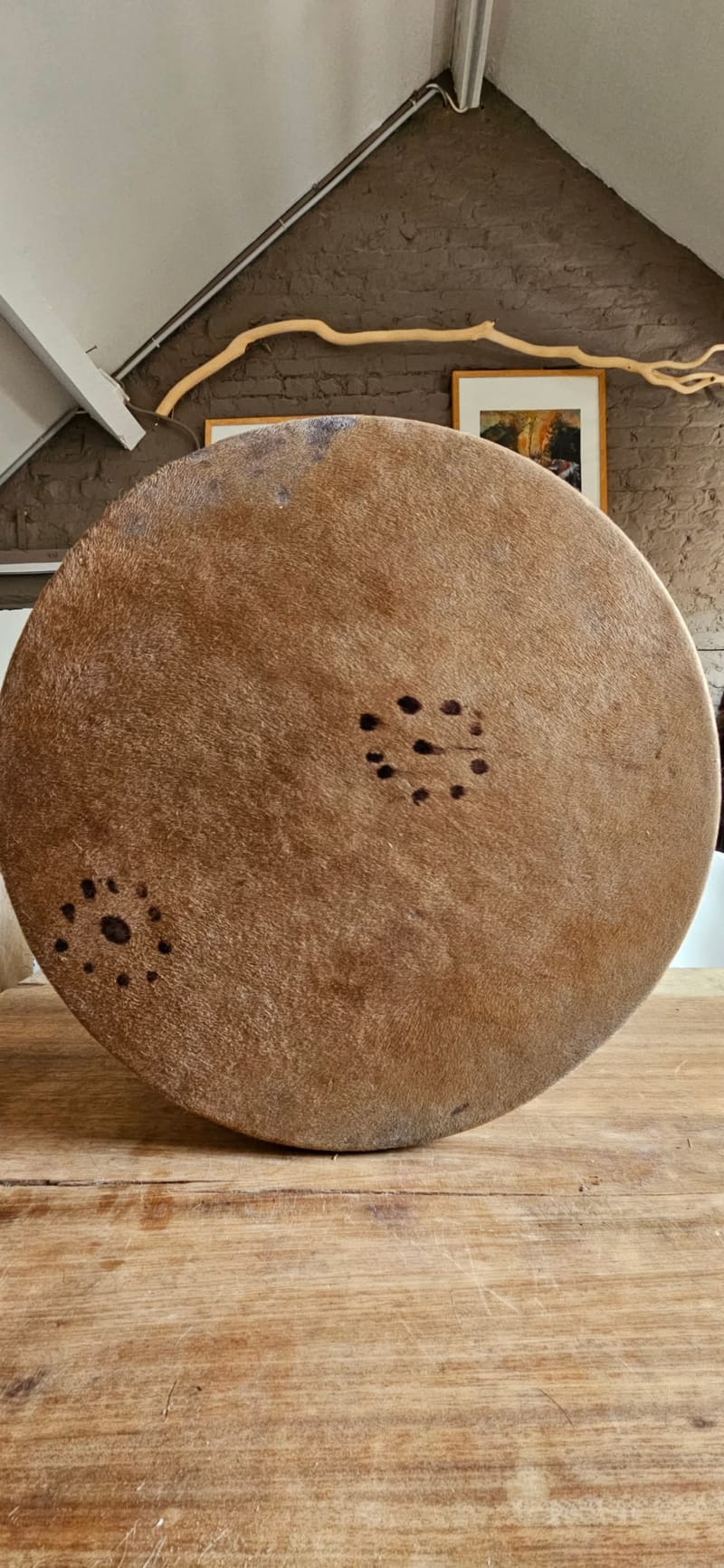 Tambour Chameau