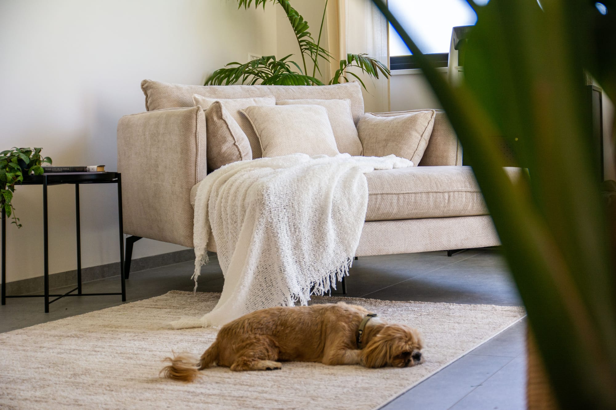 הלקוח: זוג + 4 מתבגרים