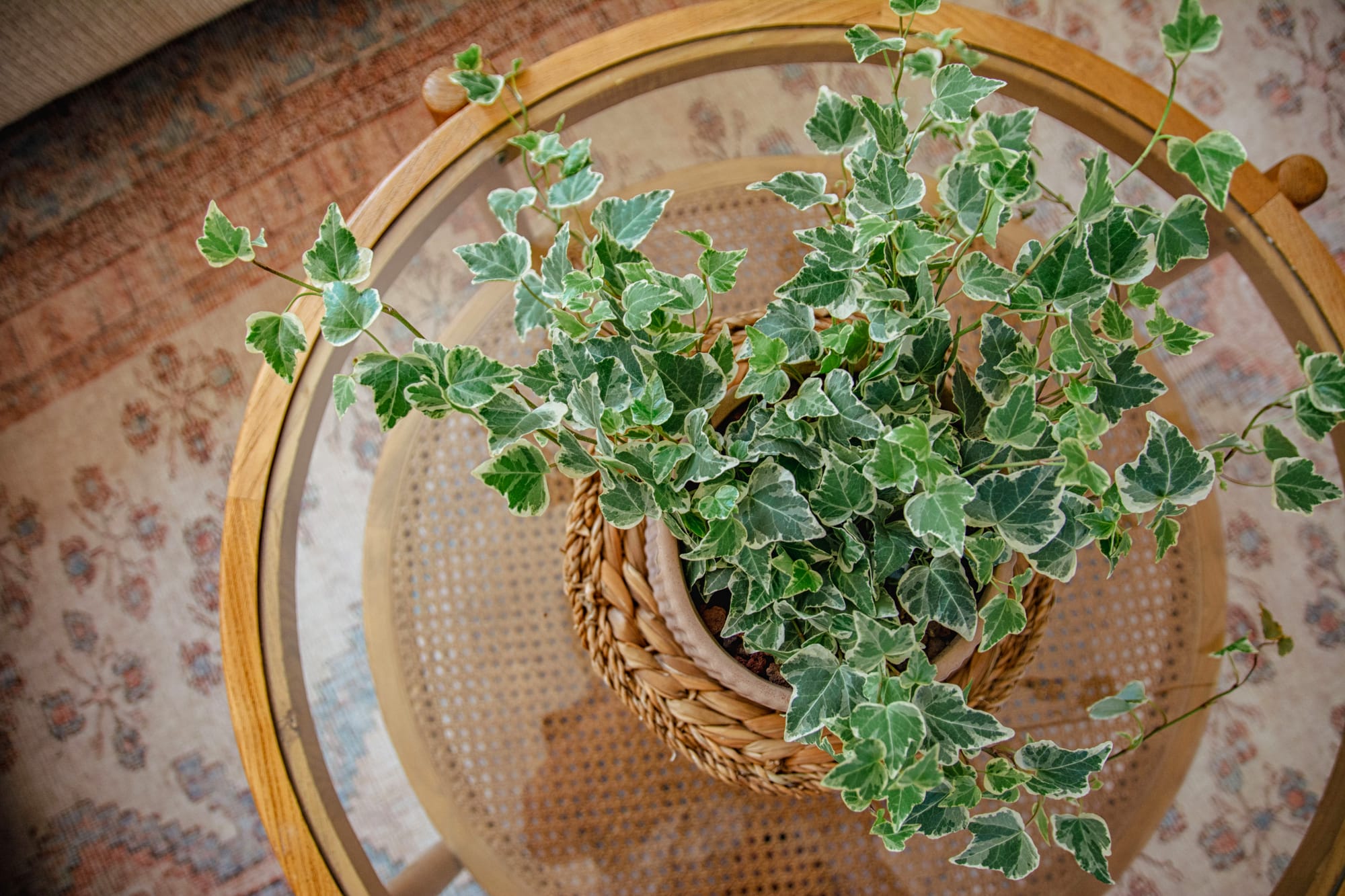 הלקוח: אישה בשנות ה-60 לחייה.