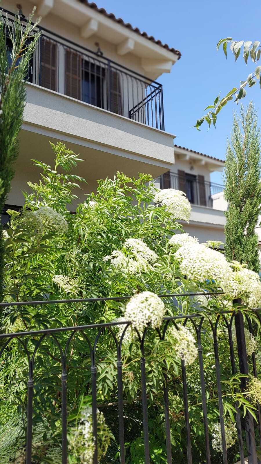 הבית הפרטי שלי