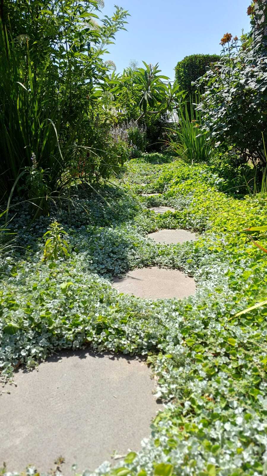הבית הפרטי שלי