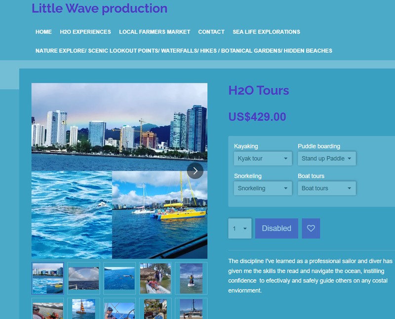 https://www.littlewavesproductions.com/-Littlewavesproductions.com