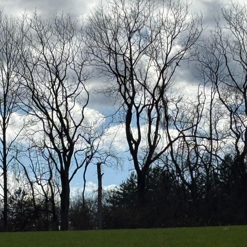 Holland Twsp Park Walk