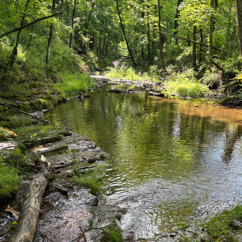 Horseshoe Bend Park Walk