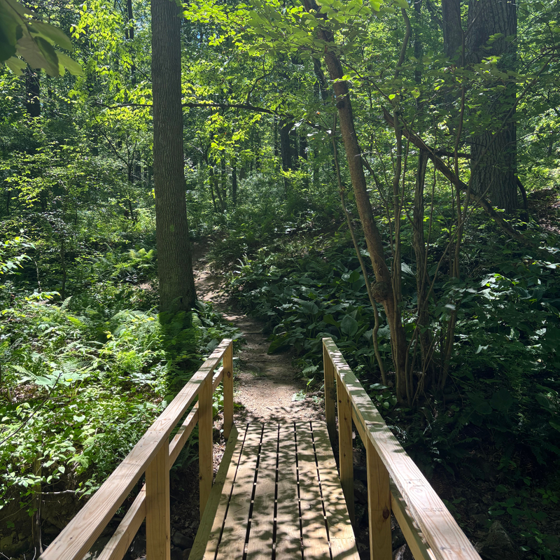 Holland Highlands Preserve