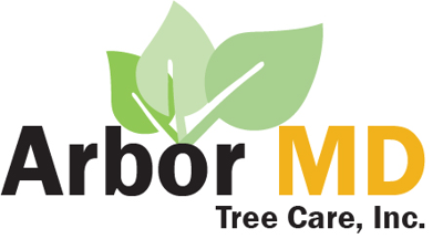 Arbor MD