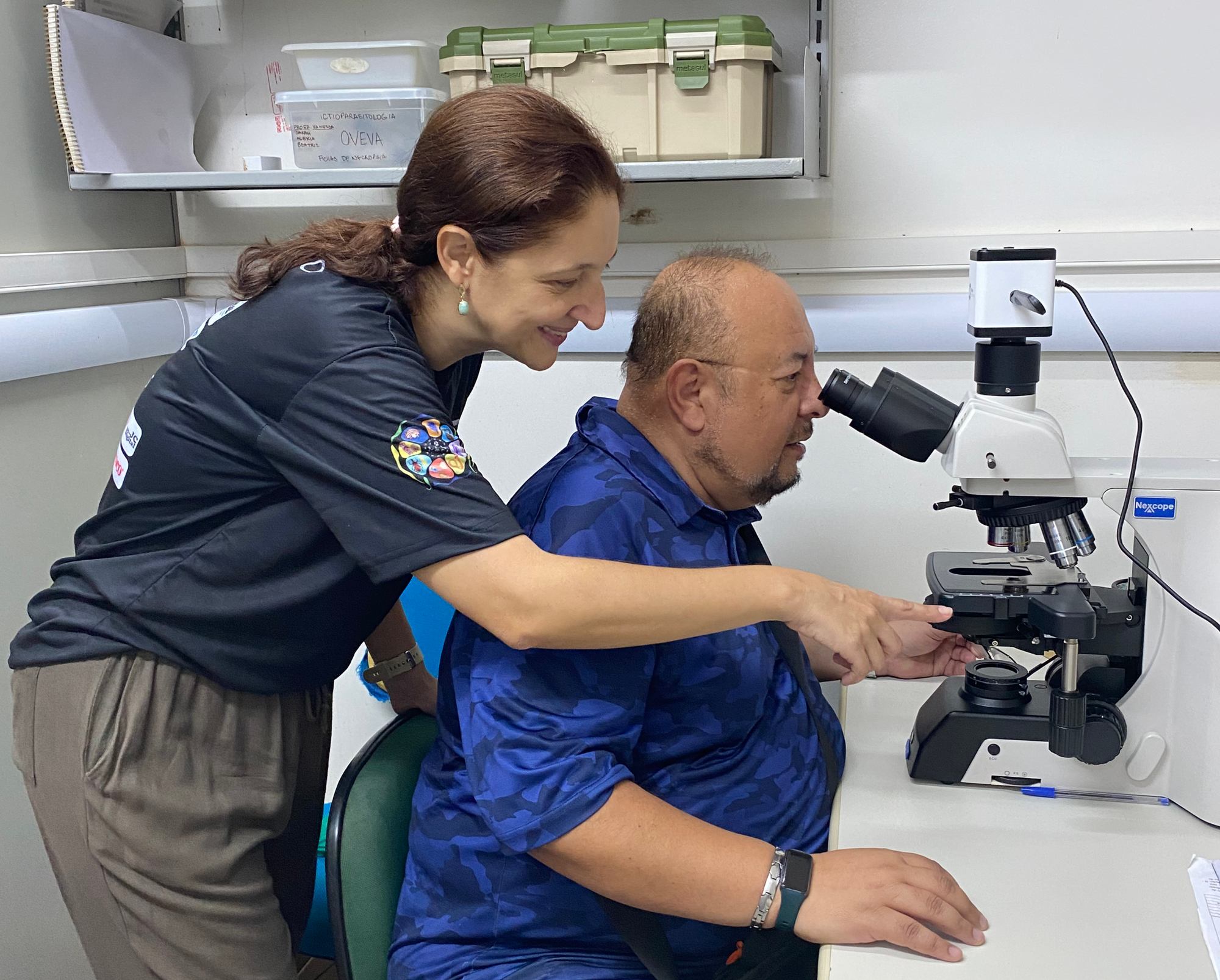 Inscripción a cursos COPANEO