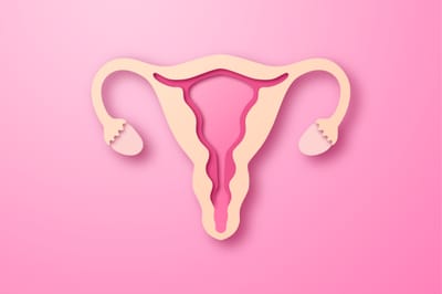 L’Endométriose : Comprendre et Soulager Naturellement grâce à la Naturopathie