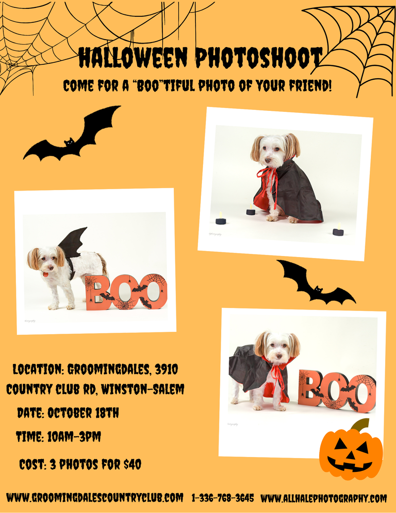 Halloween Photoshoot