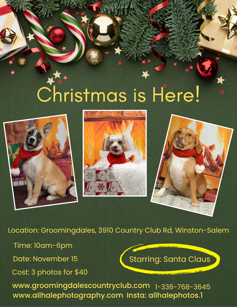 Santa is coming to Groomingdales