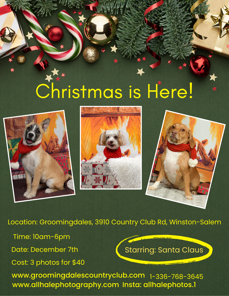 Santa Paws is coming to Groomingdales
