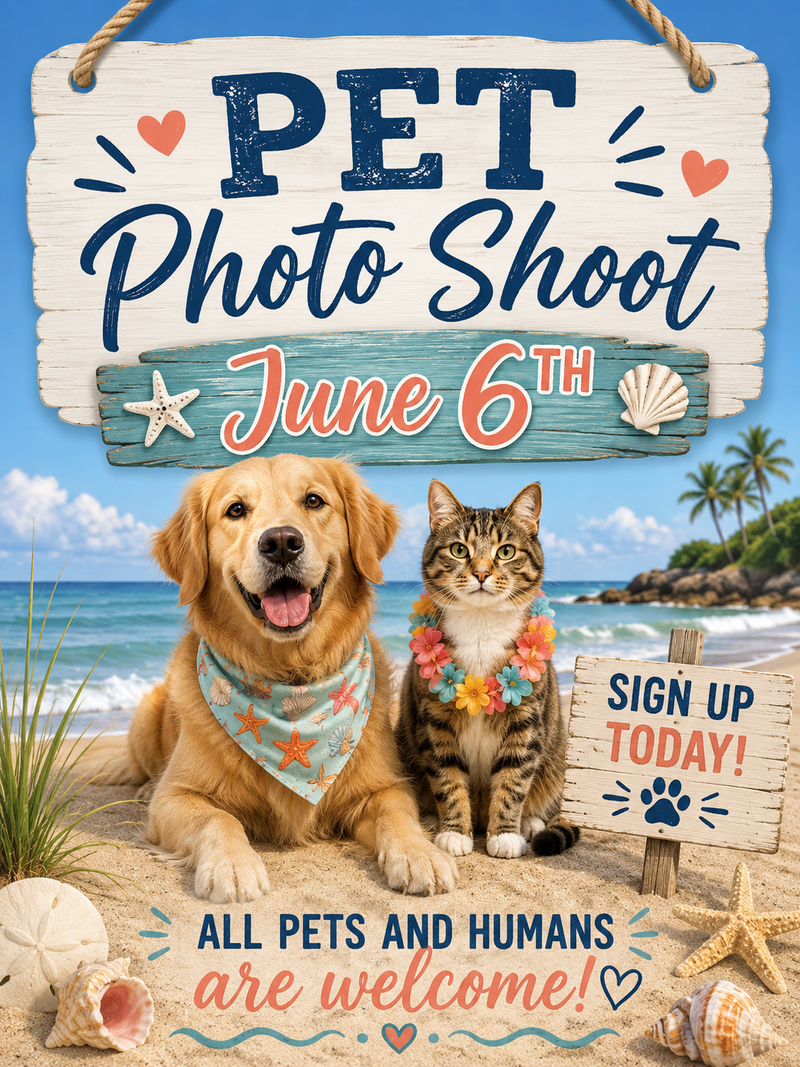 Summer Photo Shoot