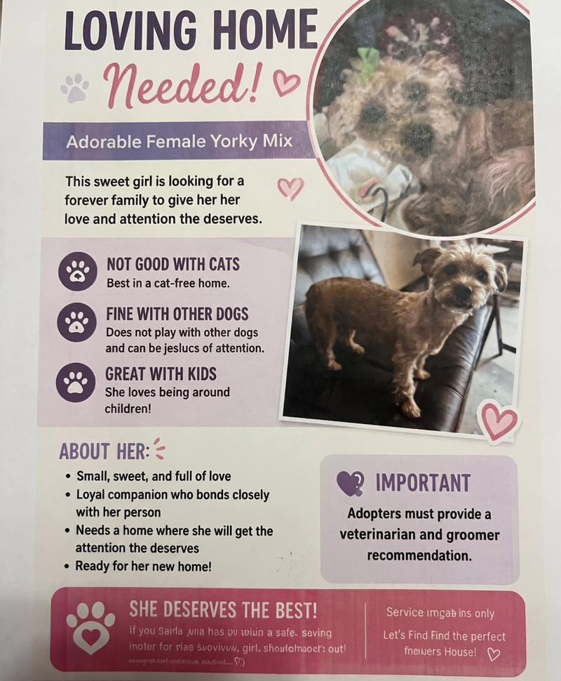 Needing a forever HOME