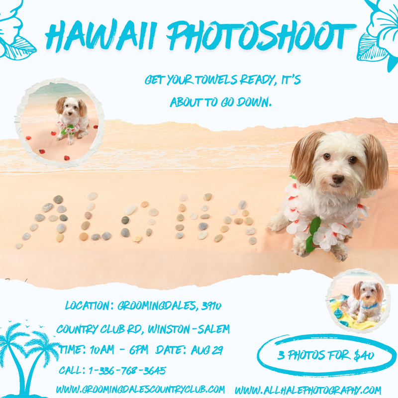 Summer Photo Shoot