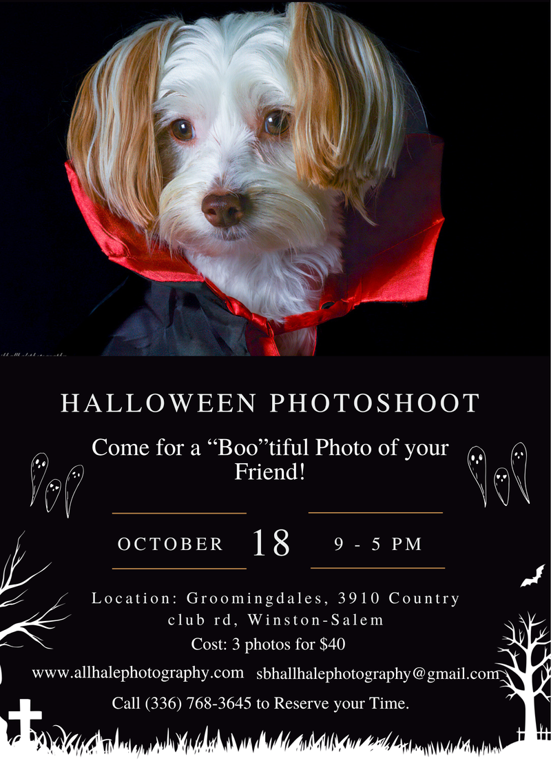 Halloween Photoshoot
