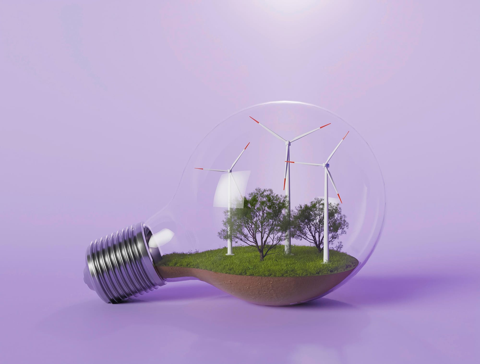 2 Renewable Energy