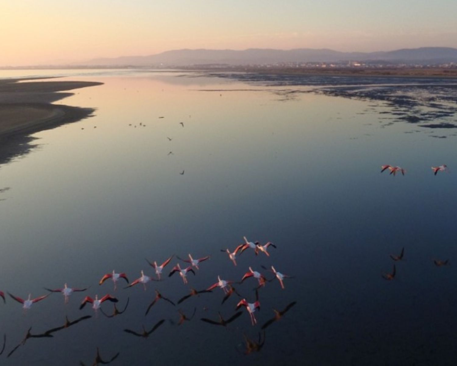Δέλτα του Έβρου Ένας Παγκόσμιος Υγρότοπος