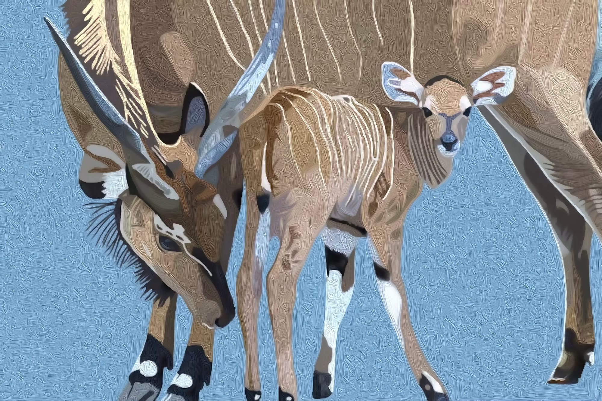 Gazelles -Little & Large