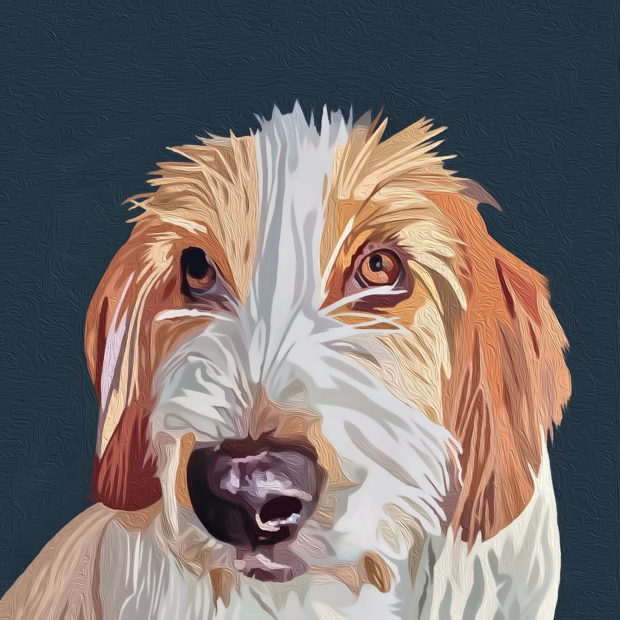 Jeffrey