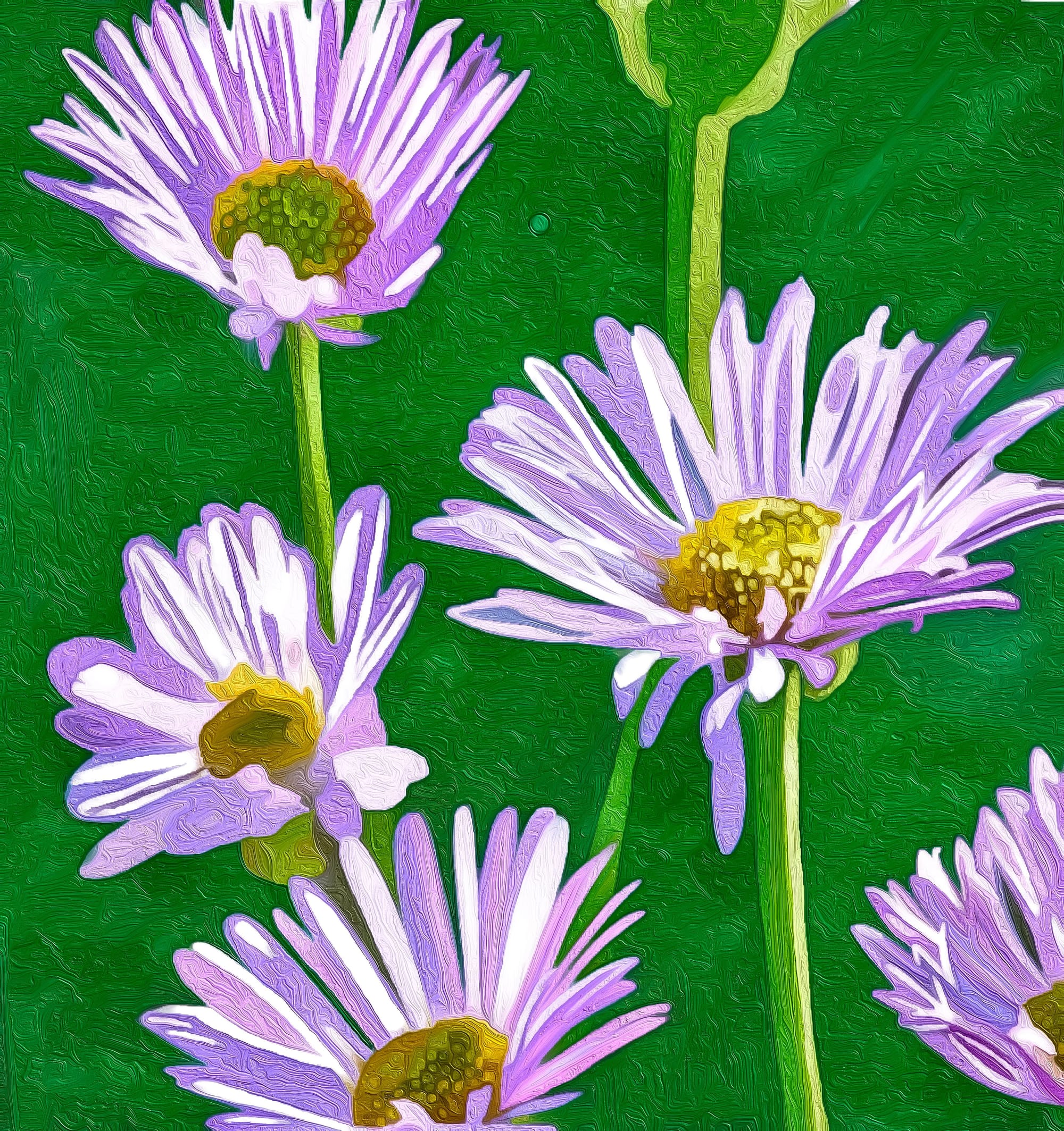 Summer Colour Blast