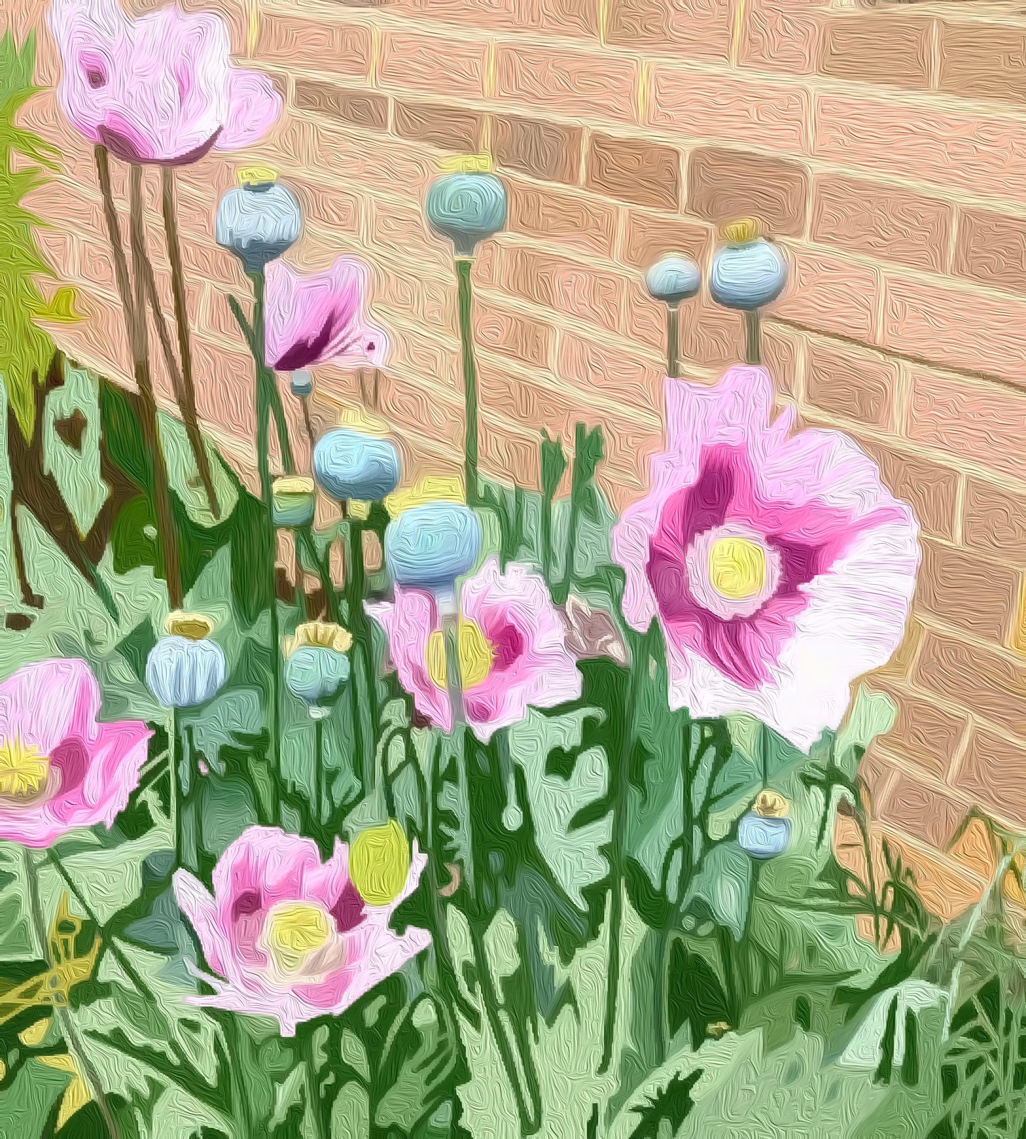 Poppies In My Garden