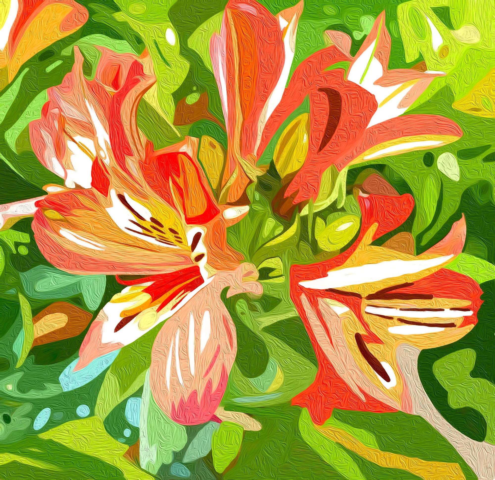 Alstroemeria (St Martin's Lily)
