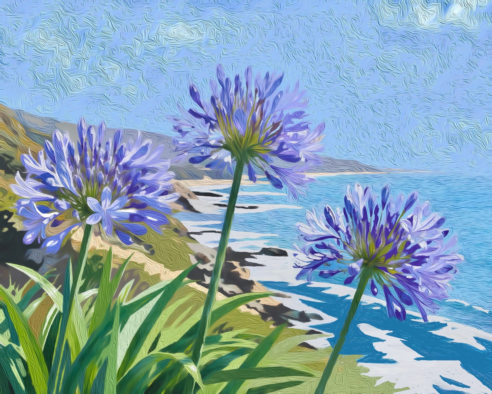 Coastal Agapanthus Glow