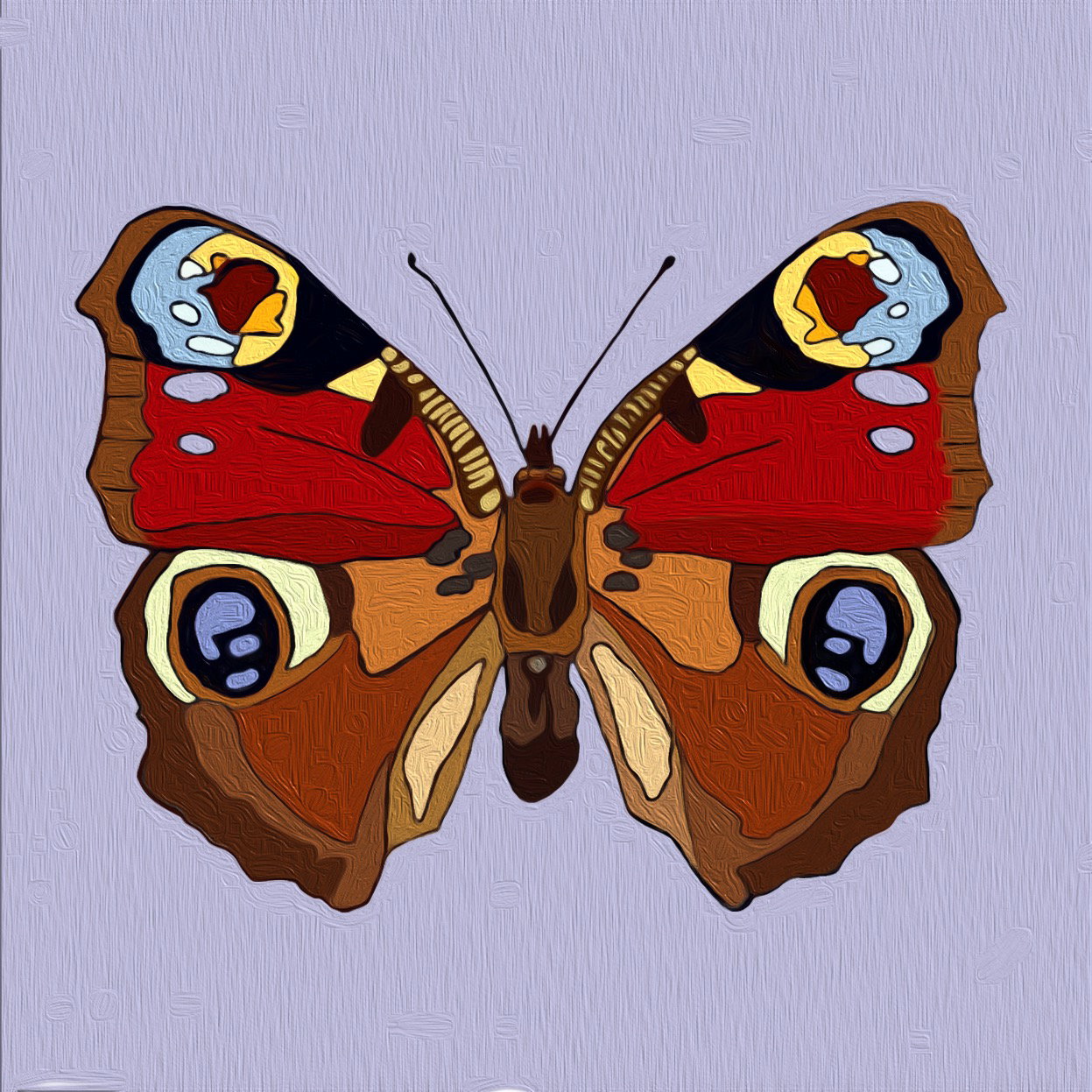 Peacock Butterfly