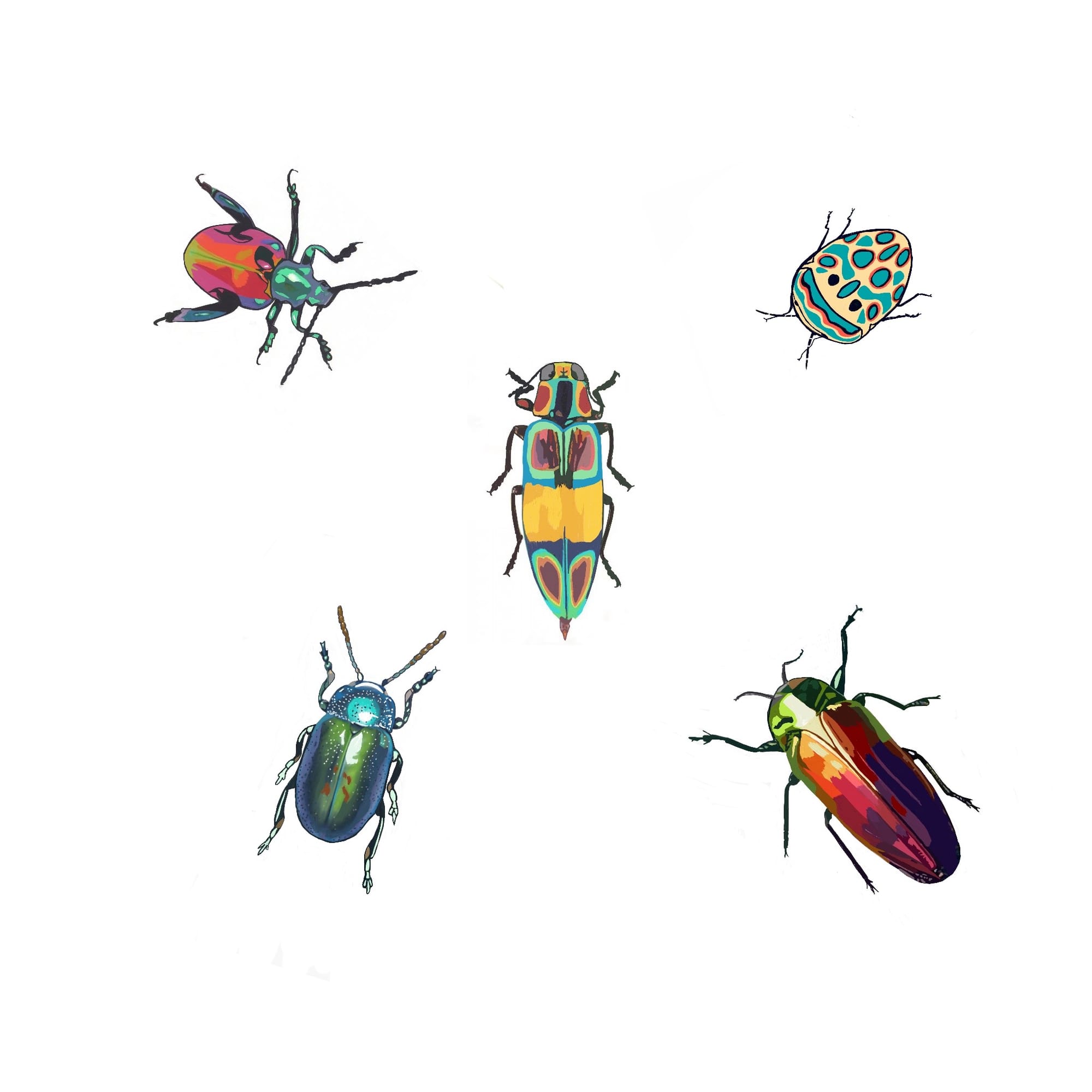 A Herd Of Beetles