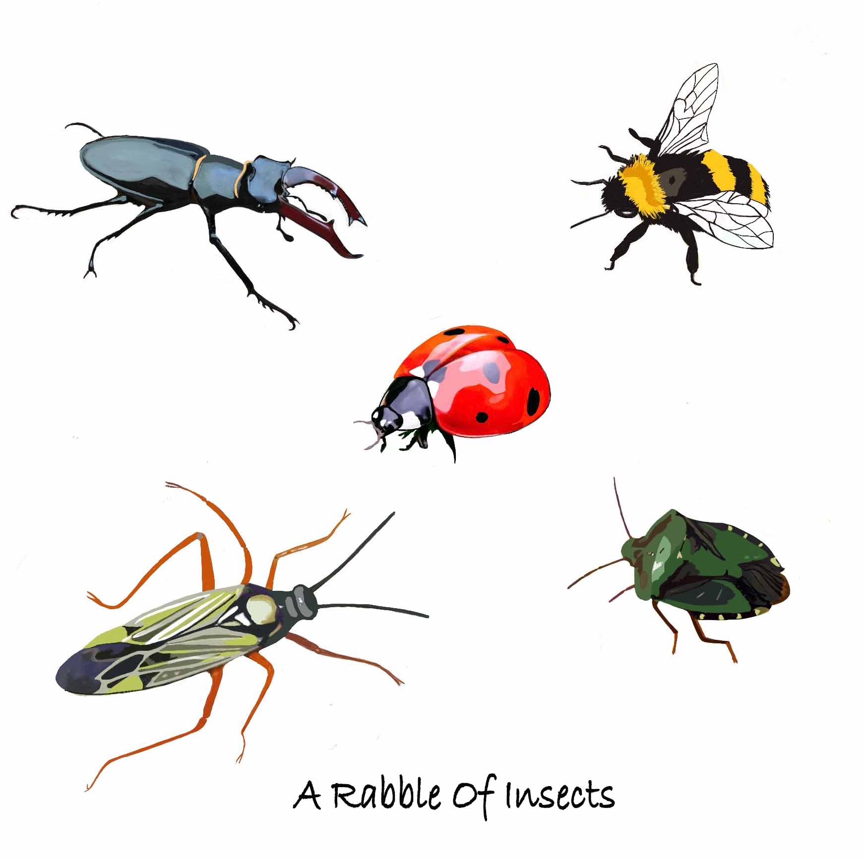 A Rabble Of Insects