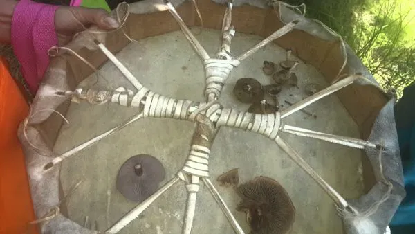 התוף בחברה השבטית