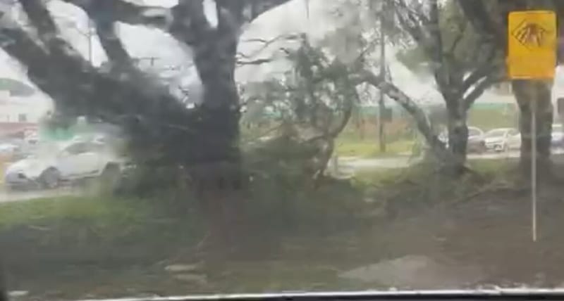 Sinop Registra Danos Após Tempestade com Ventos e Chuva Intensa