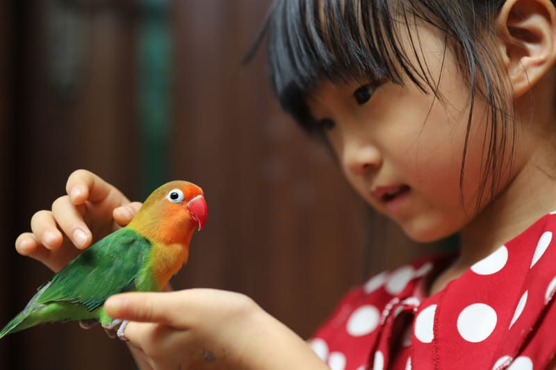 Behavioral & Emotional Disorders in Children