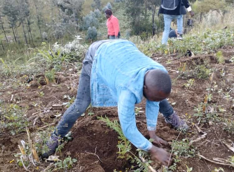 Food Security: Building Resilient Systems for a Sustainable Future