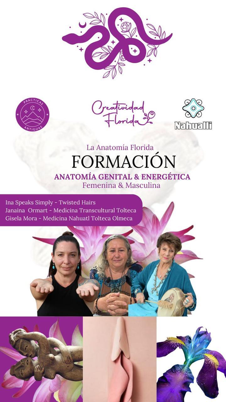 Anatomía Genital y Energética.