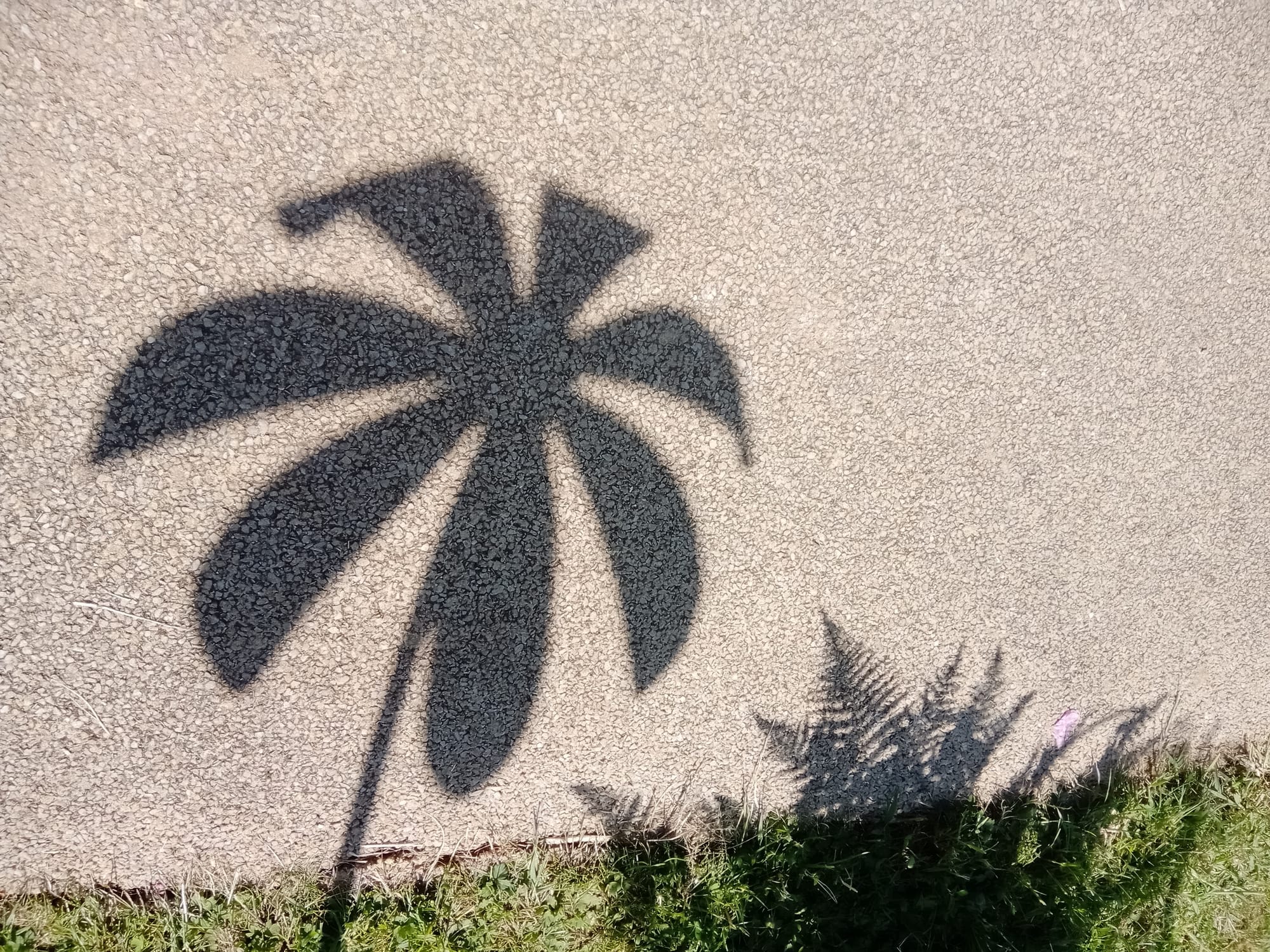 Nice Shadow
